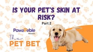 Expert Vet Shares Shocking Dermatology Secrets You Need to Know! - Part 2