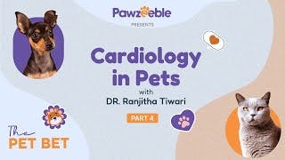 Dr. Ranjitha Tiwari: Part 4 | Heart Matters: Exploring Pet Cardiology